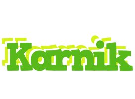 Karnik picnic logo