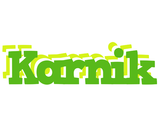 Karnik picnic logo
