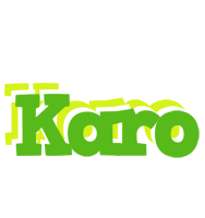 Karo picnic logo