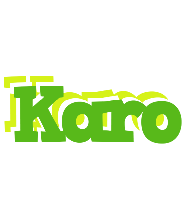 Karo picnic logo
