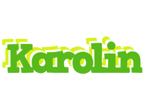 Karolin picnic logo