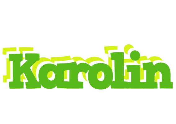 Karolin picnic logo