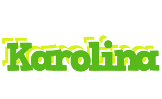 Karolina picnic logo