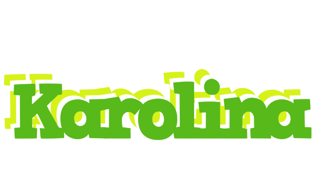Karolina picnic logo
