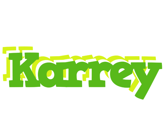 Karrey picnic logo