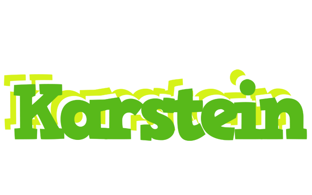 Karstein picnic logo