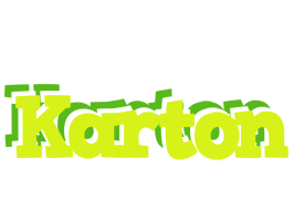 Karton citrus logo