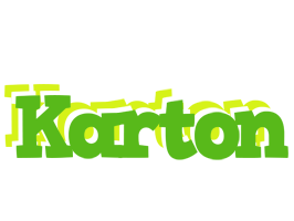 Karton picnic logo