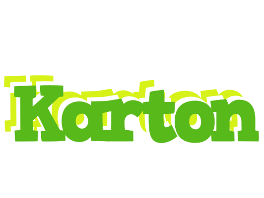 Karton picnic logo