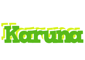 Karuna picnic logo