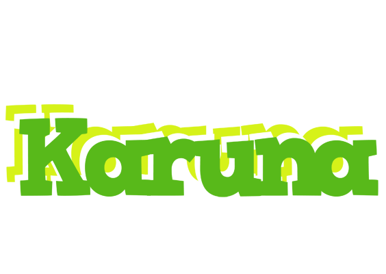 Karuna picnic logo