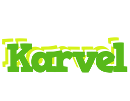 Karvel picnic logo