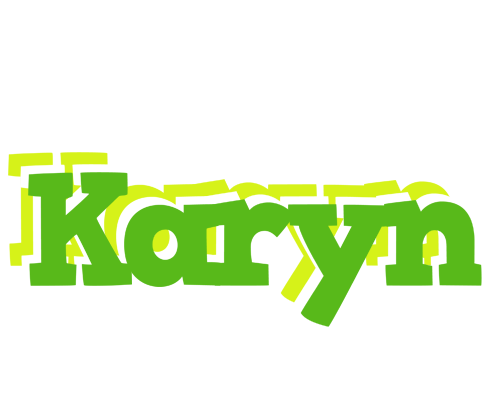 Karyn picnic logo