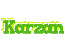 Karzan picnic logo