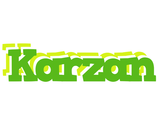 Karzan picnic logo