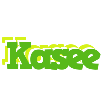 Kasee picnic logo