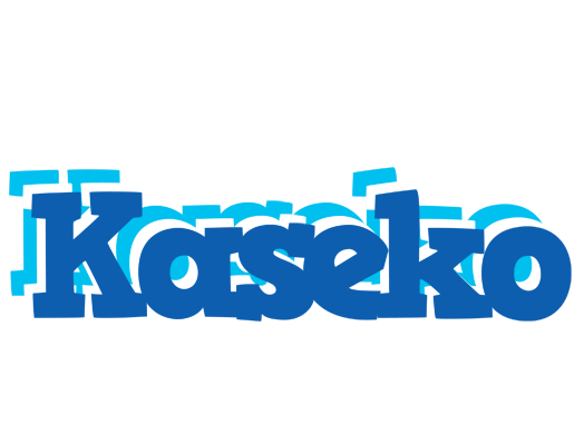 Kaseko business logo