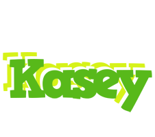 Kasey picnic logo