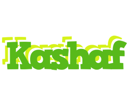 Kashaf picnic logo