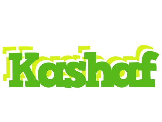 Kashaf picnic logo