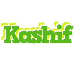 Kashif picnic logo