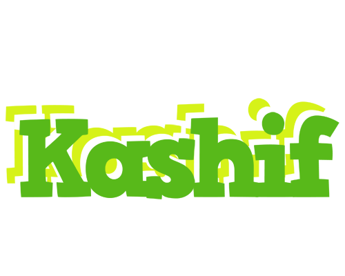 Kashif picnic logo