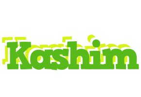 Kashim picnic logo