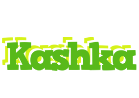 Kashka picnic logo