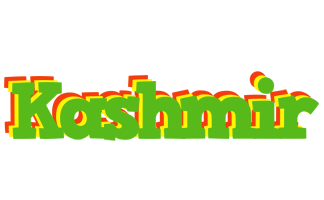 Kashmir crocodile logo