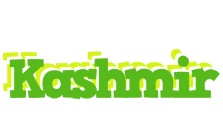 Kashmir picnic logo