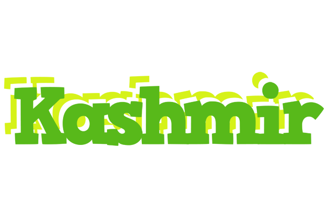Kashmir picnic logo