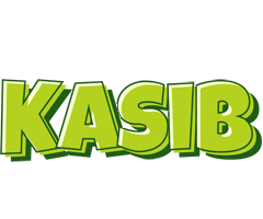 Kasib summer logo