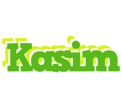 Kasim picnic logo
