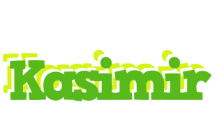 Kasimir picnic logo