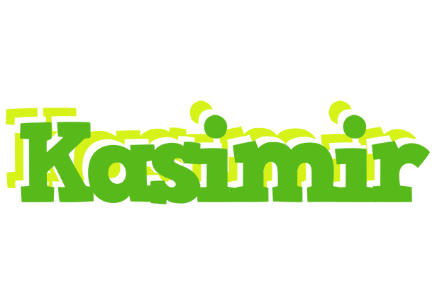 Kasimir picnic logo