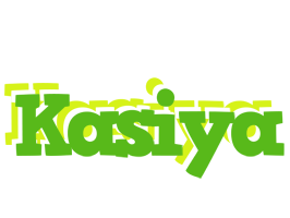 Kasiya picnic logo