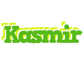 Kasmir picnic logo