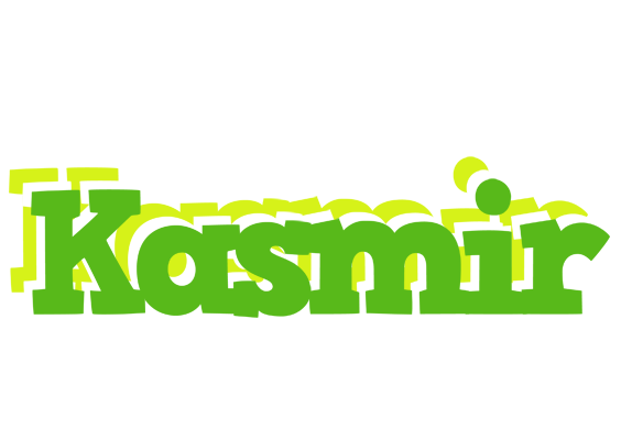Kasmir picnic logo