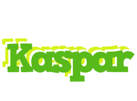 Kaspar picnic logo