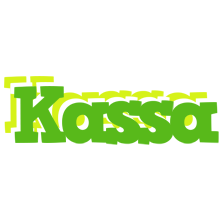 Kassa picnic logo