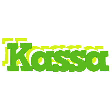 Kassa picnic logo