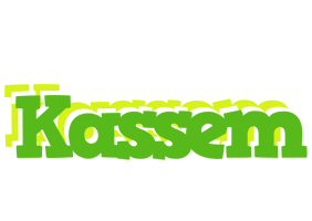 Kassem picnic logo