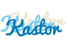 Kastor breeze logo