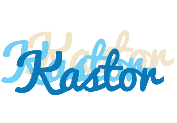 Kastor breeze logo