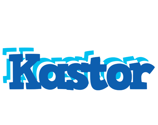 Kastor business logo