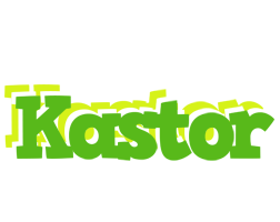 Kastor picnic logo