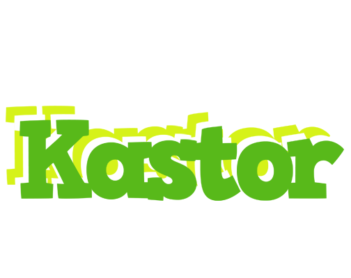 Kastor picnic logo