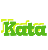 Kata picnic logo