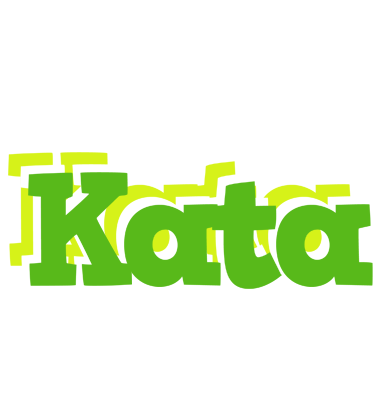 Kata picnic logo