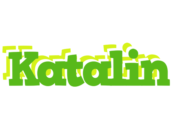 Katalin picnic logo